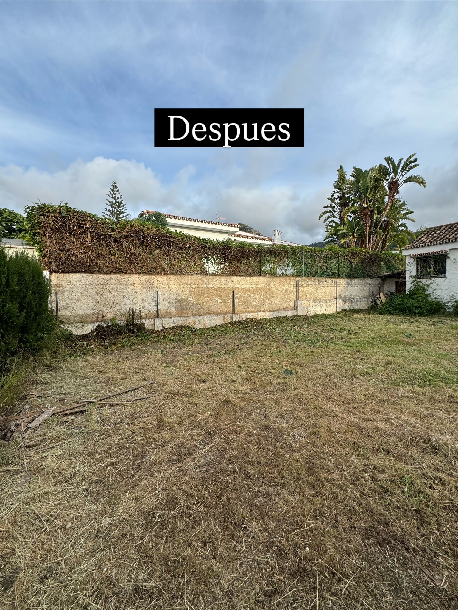 Proyecto de paisajismo de EA Gardens en Alhaurín de la Torre