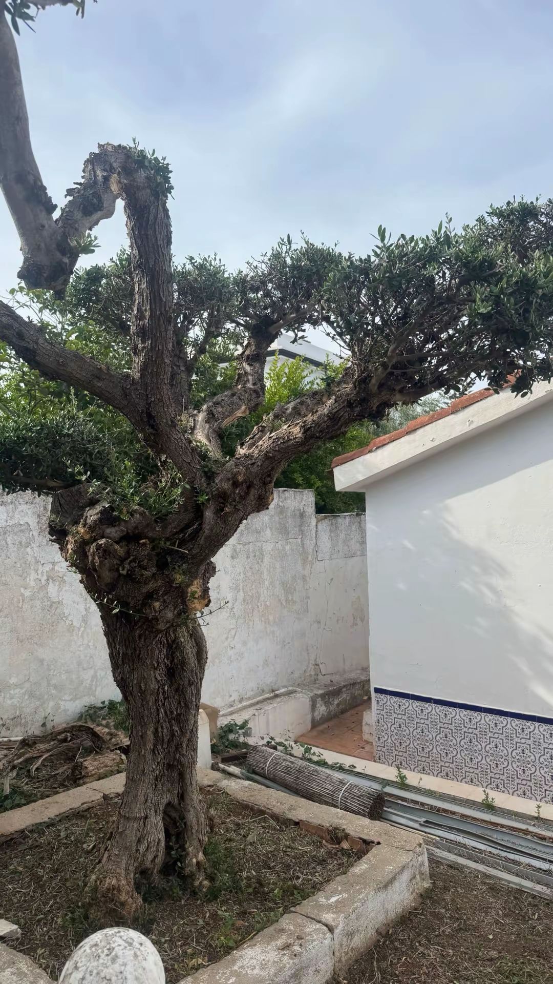 Trabajo de mantenimiento de jardín de EA Gardens