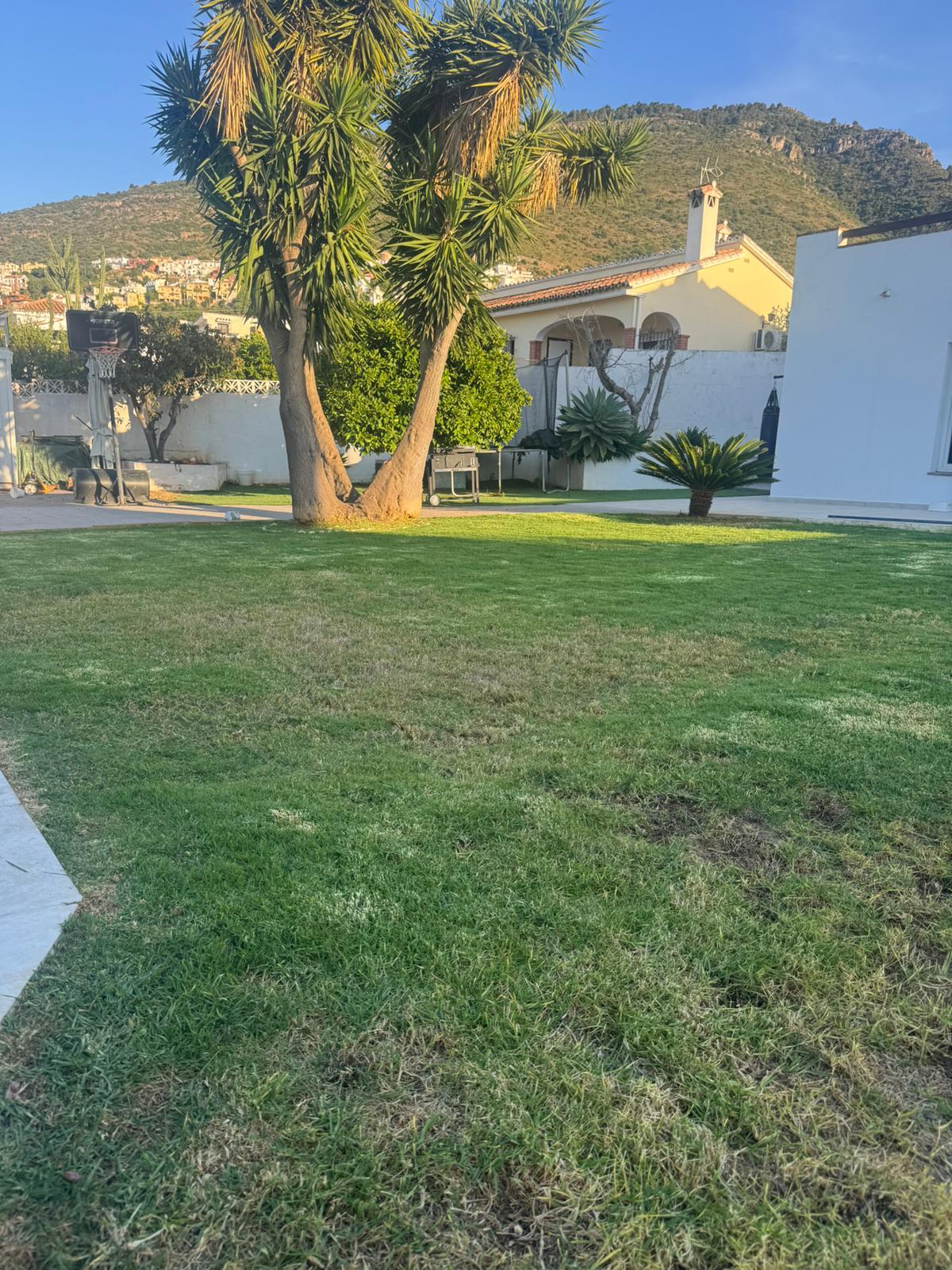 Instalación de césped por EA Gardens